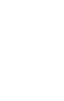 Henrique's Cleaning Service lion logo